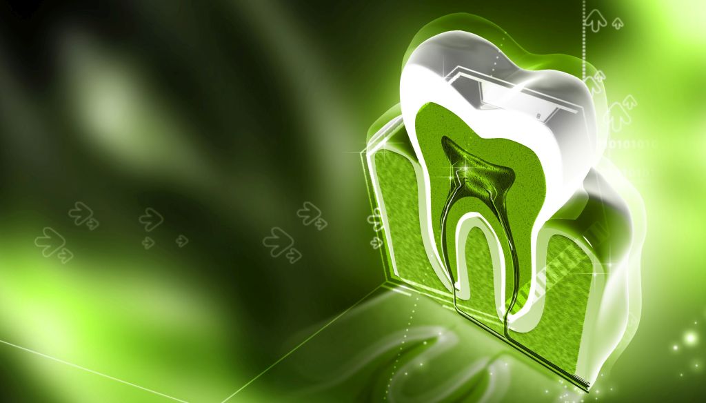 Estrutura interna da dentina