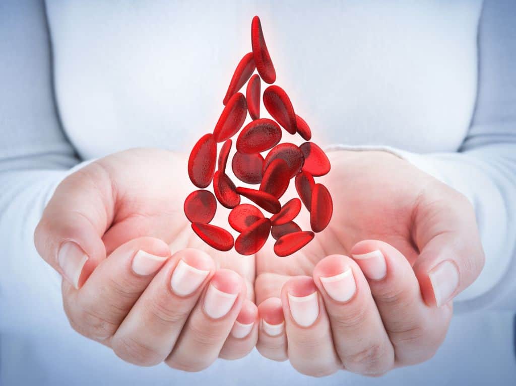 ABO lança campanha de doação de sangue