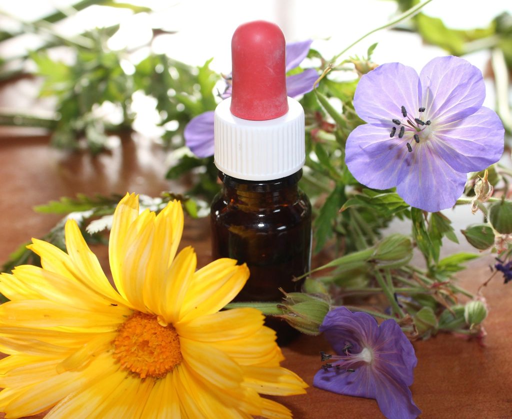 Os benefícios da homeopatia na Odontologia 